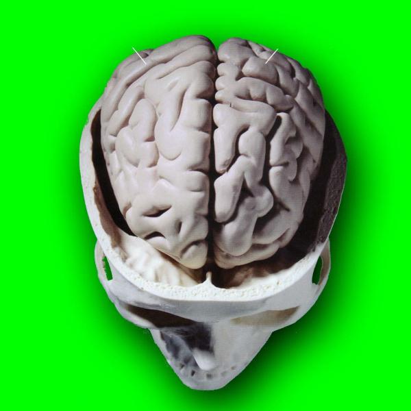 KPPB: Menangani Perubahan